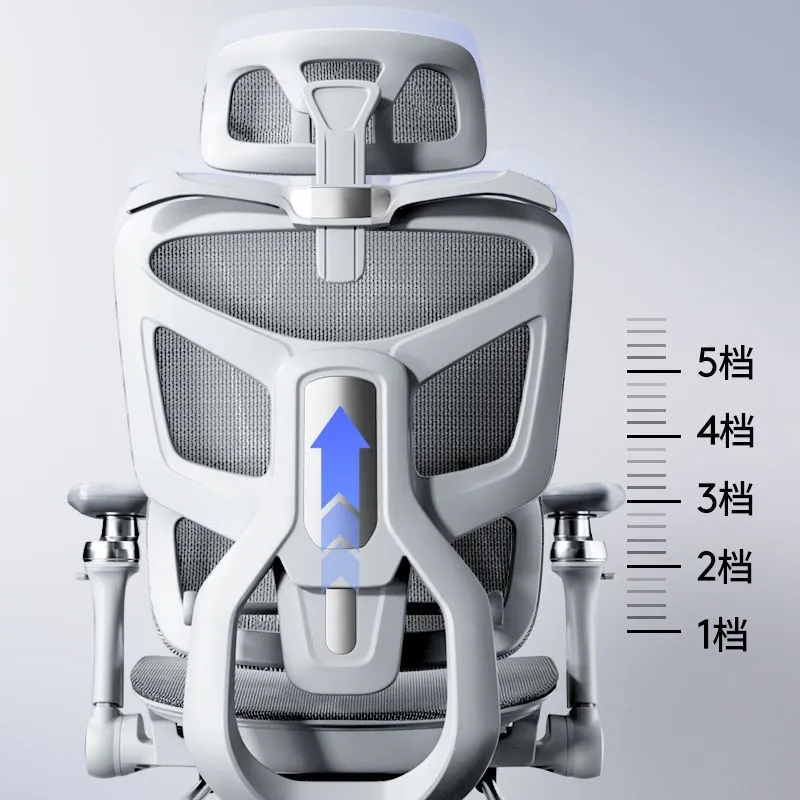 كرسي كمبيوتر مريح مع دعم للظهر - مراجعة Home Office Chair وسعره